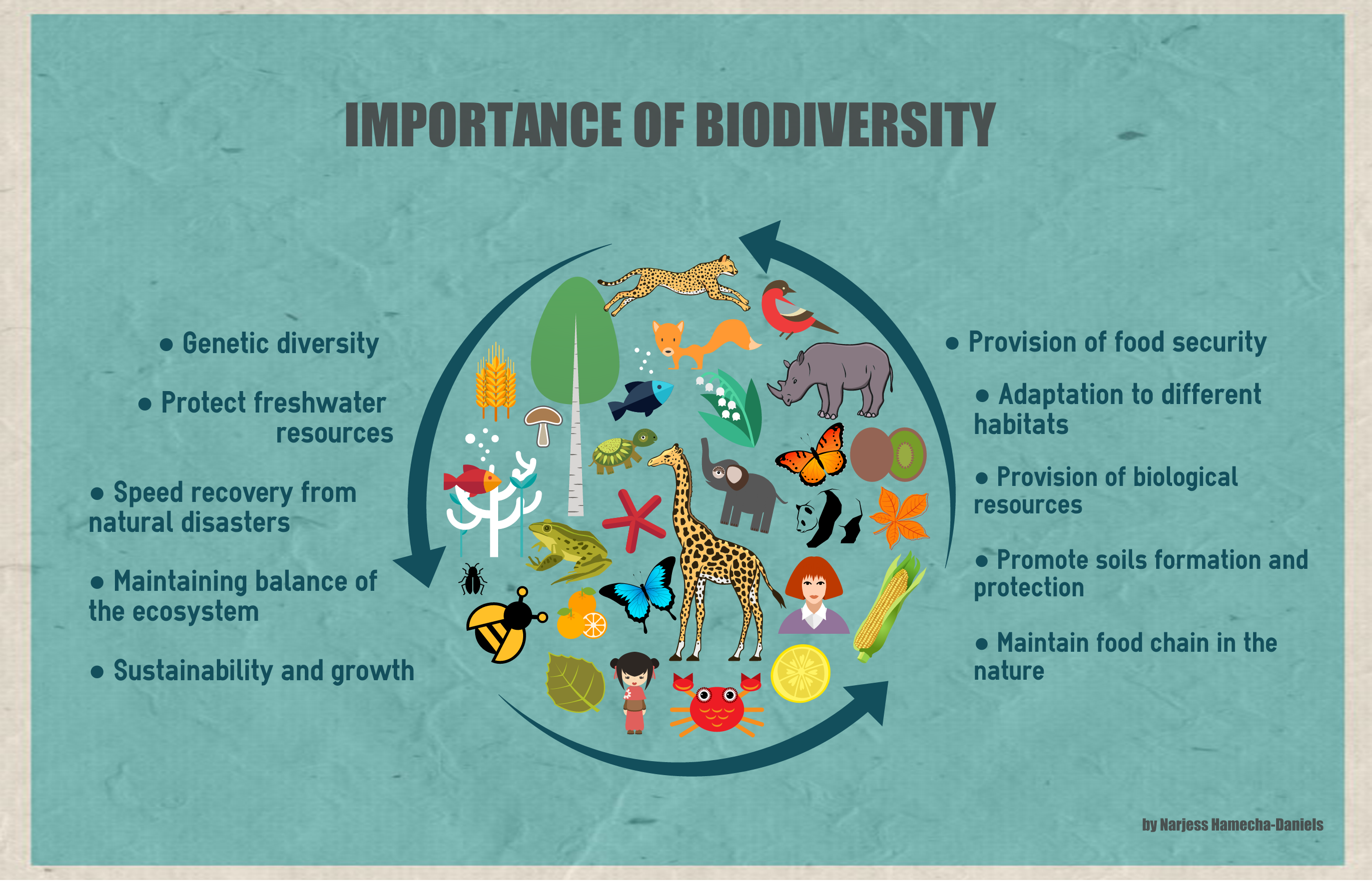 The Connection Between Conservation and Biodiversity