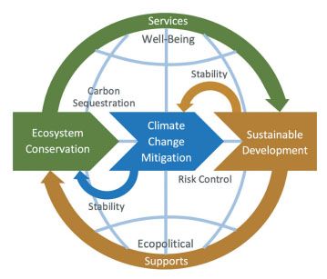 The Role of Conservation in Climate Change Mitigation